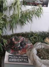 Homem é preso com drogas durante ação do BPMA na AIS 19
