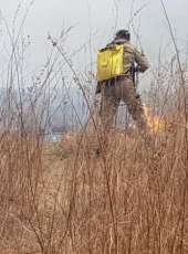 Corpo de Bombeiros debela incêndio em vegetação entre Crateús e Independência