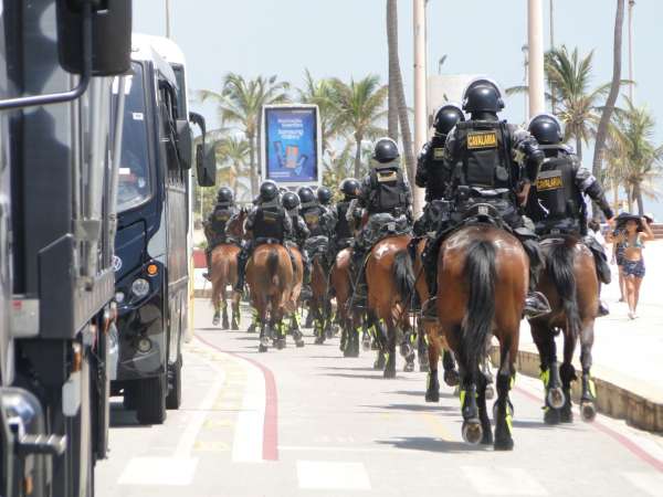 Policial militar sacrifica cavalo e gera revolta nas redes sociais - Gerais  - Estado de Minas