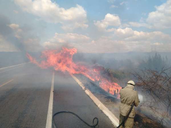 Bombeiros-debelam-incendio-em-vegetacao-na-BR-116-em-Limoeiro-do-Norte-2