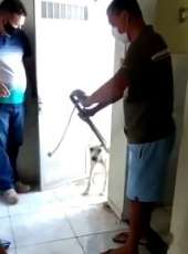 PCCE prende homem em flagrante suspeito de maus-tratos a cachorro em Quixadá