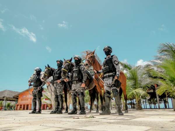 No Pará, Cavalaria da PM atua no policiamento ecologicamente correto