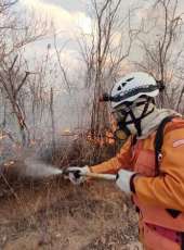 Ceará apresenta redução de 78% nos incêndios em vegetação no primeiro quadrimestre
