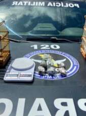 Suspeito de tráfico de drogas e crime ambiental é preso pela PMCE em Caririaçu