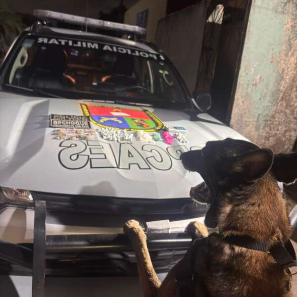 Foto: Reprodução/Secom Ceará