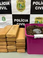 Homem em posse de 20 kg de maconha é preso em flagrante pela Polícia Civil em Caucaia