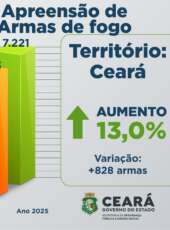 Forças de Segurança do Ceará apreendem 7.221 armas em 2025; são cerca de 20 armas confiscadas por dia