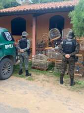 Homem é detido e 21 aves silvestres são resgatadas pela PMCE na zona rural de Crato