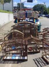 Polícia Militar resgata 16 aves silvestres mantidas irregularmente em cativeiro no Crato