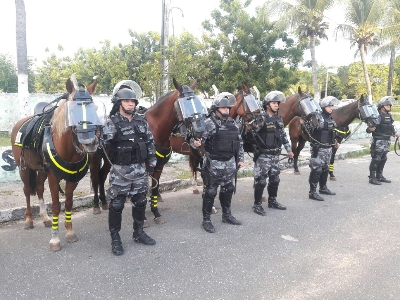 Curso de cavalaria: importância, cursos e mais!